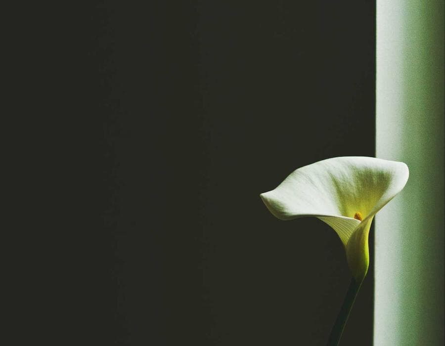 BWW Media Group case study